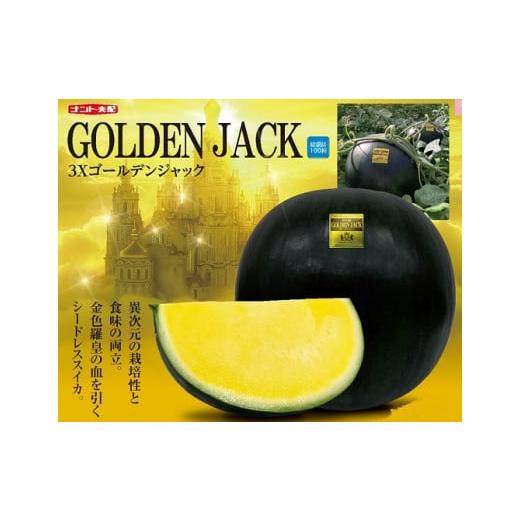 ふるさと納税 スイカ 長野県 山形村 山形村産 ゴールデンジャック 1玉(7kg以上)中川農園 3210