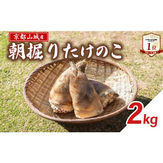 ふるさと納税 野菜類 京都府 井手町 先行予約 京都山城産 朝掘りたけのこ 2kg &lt;2026年4月発送&gt; 白子筍 朝掘り 新鮮 京都 筍 竹の子 たけのこ 京たけの…