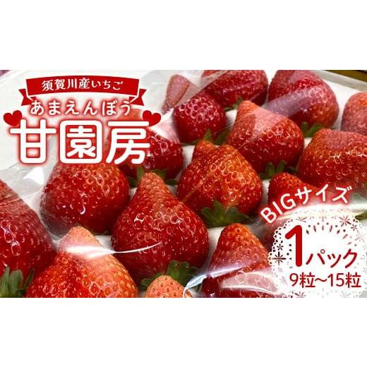 ふるさと納税 いちご 福島県 須賀川市 須賀川産いちご「甘園房〜あまえんぼう〜」BIGサイズ 1パック(9粒〜15粒) いちご イチゴ 苺 デザート フルーツ 果物 く…
