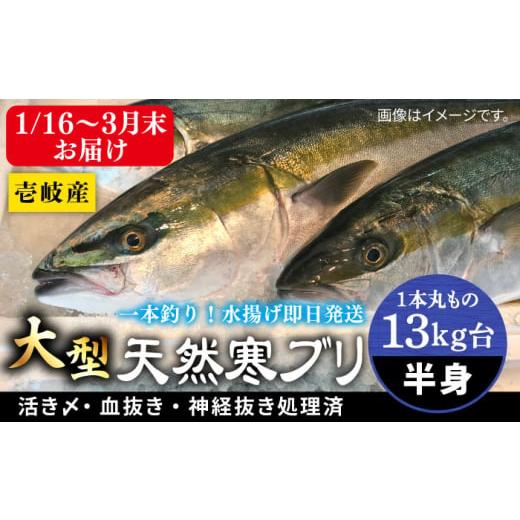 ふるさと納税 旬の鮮魚等 長崎県 壱岐市 13キロ台 1月16日〜3月末お届け 壱岐島産天然寒ブリ(一本丸ものサイズの半身ブロック) [壱岐市] 壱岐島 玄海屋 …