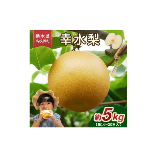 ふるさと納税 梨 栃木県 高根沢町 幸水梨 5kg 梨 栃木県産| 梨 なし ナシ 果物 くだもの フルーツ 甘い 秋の味覚 産地直送 期間限定 季節限定 季節商品 送料無…_1
