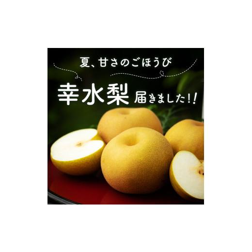 ふるさと納税 梨 栃木県 高根沢町 幸水梨 5kg 梨 栃木県産| 梨 なし ナシ 果物 くだもの フルーツ 甘い 秋の味覚 産地直送 期間限定 季節限定 季節商品 送料無…_2