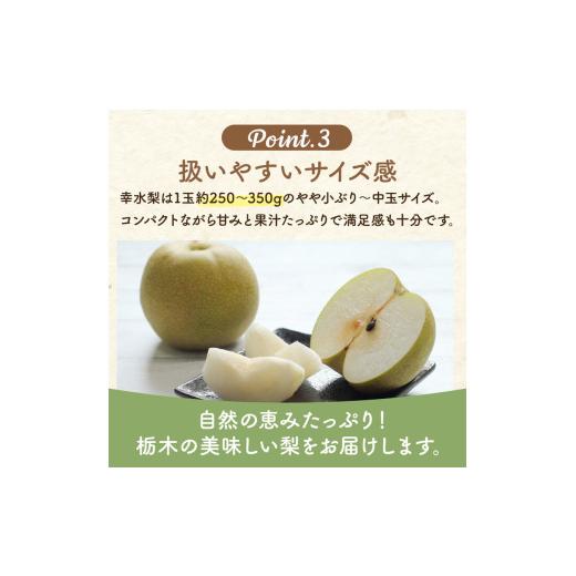 ふるさと納税 梨 栃木県 高根沢町 幸水梨 5kg 梨 栃木県産| 梨 なし ナシ 果物 くだもの フルーツ 甘い 秋の味覚 産地直送 期間限定 季節限定 季節商品 送料無…_5