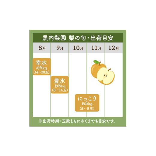 ふるさと納税 梨 栃木県 高根沢町 幸水梨 5kg 梨 栃木県産| 梨 なし ナシ 果物 くだもの フルーツ 甘い 秋の味覚 産地直送 期間限定 季節限定 季節商品 送料無…_6