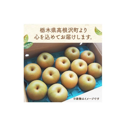 ふるさと納税 梨 栃木県 高根沢町 幸水梨 5kg 梨 栃木県産| 梨 なし ナシ 果物 くだもの フルーツ 甘い 秋の味覚 産地直送 期間限定 季節限定 季節商品 送料無…_8
