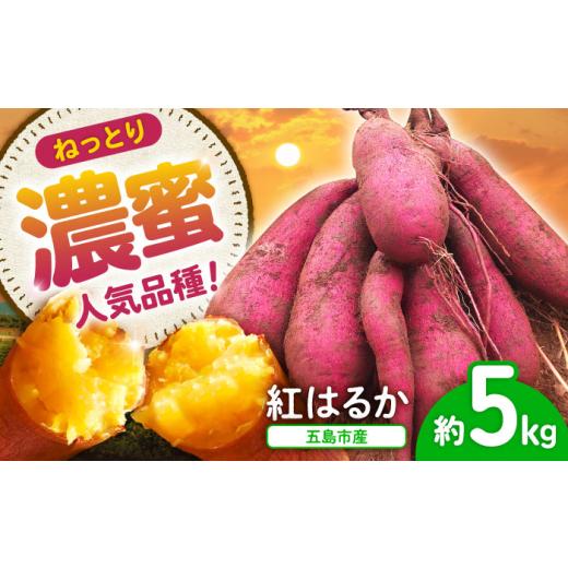 ふるさと納税 野菜類 サツマイモ 長崎県 五島市  2026年11月より発送 島の元気なさつまいも ねっとり甘い『紅はるか』5kg 五島市／あわたに農園 PGO002の画像