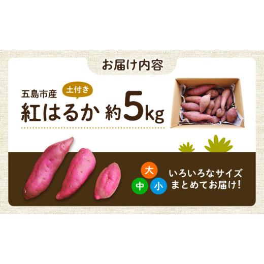 ふるさと納税 野菜類 サツマイモ 長崎県 五島市  2026年11月より発送 島の元気なさつまいも ねっとり甘い『紅はるか』5kg 五島市／あわたに農園 PGO002の画像