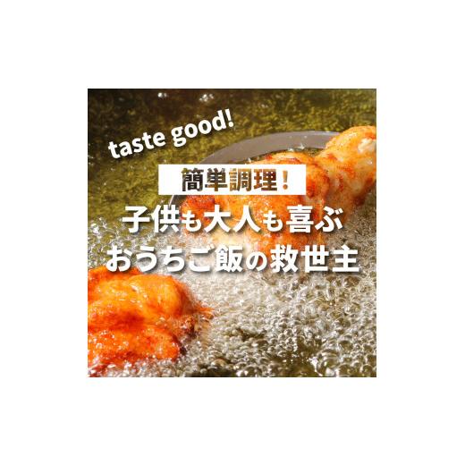 ふるさと納税 鶏肉 手羽 宮崎県 木城町  訳あり スパイシーチキン1kg×12回定期便 K16_T010の画像