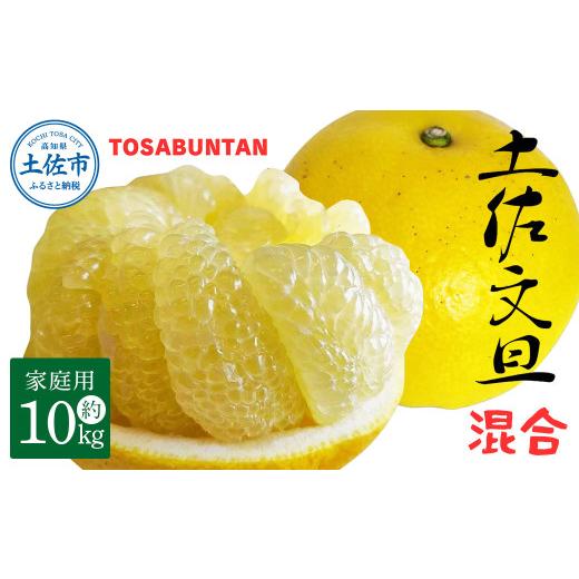 ふるさと納税 地域のお礼の品 高知県 土佐市  先行予約 土佐文旦 家庭用 約10kg （L〜3Lサイズ混合：17〜24玉入り） 文旦 ぶんたん ブンタン 柑橘 フルーツ デ…_1