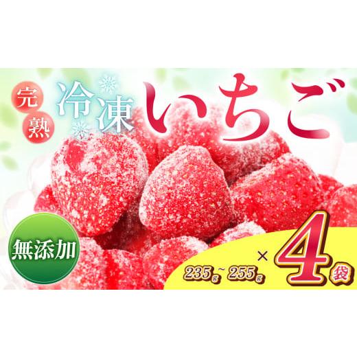 ふるさと納税 いちご 長野県 飯田市 南信州産 冷凍 アルプス イチゴ 235g 〜 255g × 4袋 | 冷凍 果物 フルーツ いちご 苺 アルプスイチゴ 冷凍いちご 朝採れ …