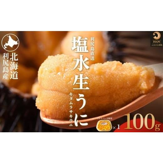 ふるさと納税 ウニ 北海道 利尻町 2026年発送受付 利尻島産 天然塩水生うに100g (100g×1) 2026年6〜8月発送分 |北海道 天然 朝獲れ 無添加 ミョウバン不使…