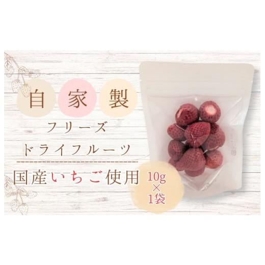 ふるさと納税 乾物 千葉県 匝瑳市 メルカドレグメス フリーズドライフルーツ いちご / フリーズドライフルーツ フリーズドライ フルーツ 果物 くだもの い…