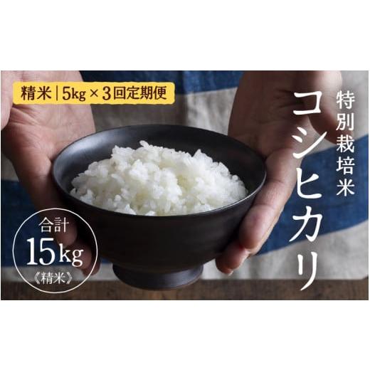 ふるさと納税 米 コシヒカリ 福井県 あわら市 定期便 3ヶ月連続お届け 令和7年産 特別栽培米 コシヒカリ 精米 5kg×3回(計15kg) /福井県産 ブランド米 コシ…