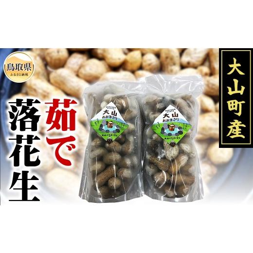 ふるさと納税 豆類 落花生 鳥取県 - 大山町産 茹で落花生(オオマサリ 1kg)_T2600123
