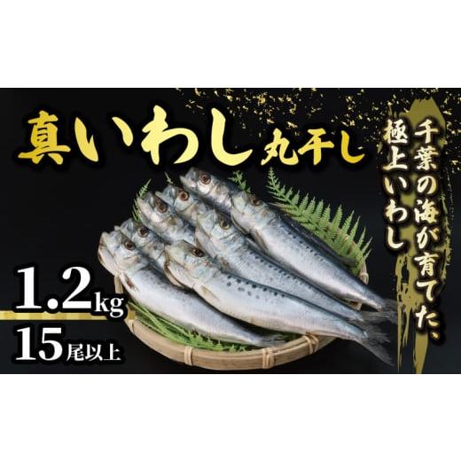 ふるさと納税 干物 イワシ 千葉県 旭市 ＼最短7営業日以内発送/ いわし 丸干し 約 1.2kg 15尾以上 国産 千葉県産 真いわし 真鰯 イワシ スピード発送 冷凍 鰯…