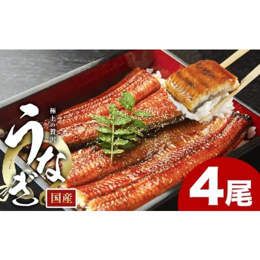 ふるさと納税 うなぎ 福岡県 鞍手町 うなぎ 鰻 福岡県産 鰻の蒲焼き 数量限定 4尾 560g 以上 HOMIE[45日以内に出荷予定(土日祝除く)]福岡県 鞍手郡 鞍手町 …