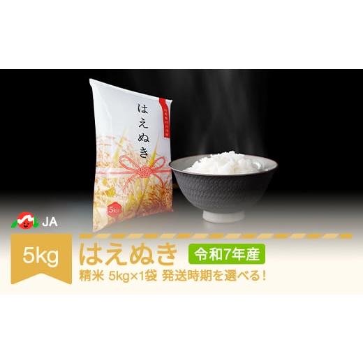 ふるさと納税 米 はえぬき 山形県 村山市 米 5kg はえぬき 精米 令和7年産 2026年2月下旬 ja-haxxa5-s2c 2026年2月下旬