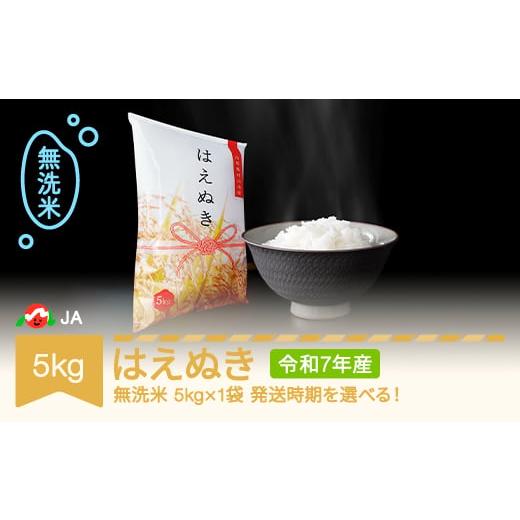 ふるさと納税 米 はえぬき 山形県 村山市 先行予約 新米 米 5kg はえぬき 無洗米 令和7年産 2025年12月中旬 ja-hamxa5-12b 2025年12月中旬