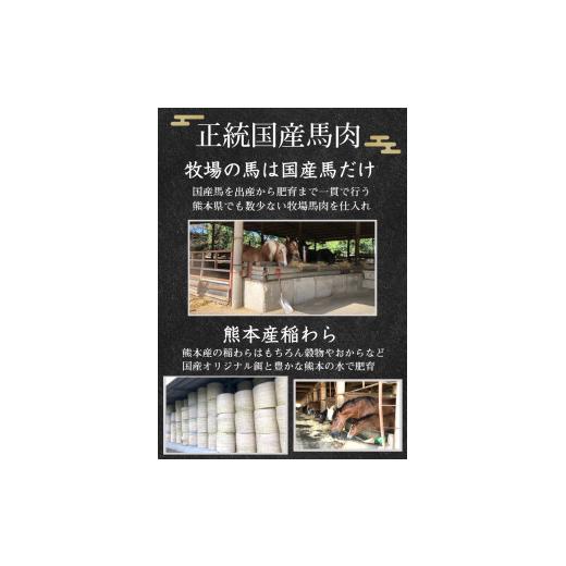 ふるさと納税 馬肉 熊本県 玉名市  定期便 12回 純 国産 熊本 馬刺し 4種類 250g | 肉 にく お肉 おにく 馬 馬刺 赤身 霜降り ふたえご たてがみ 小分け 専用…の画像