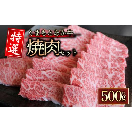 ふるさと納税 牛肉 焼肉・バーベキュー 熊本県 阿蘇市 GI認証 くまもとあか牛 特選焼肉用 500g 阿蘇牧場 熊本県 阿蘇市