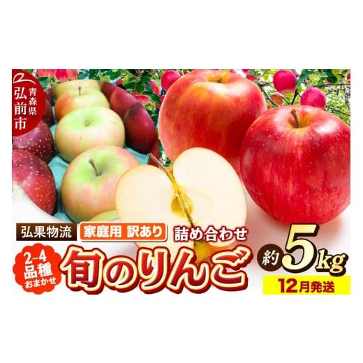 ふるさと納税 りんご 青森県 弘前市 25年12月発送 りんご 家庭用 訳あり 旬のりんご 品種おまかせ 約5kg 2品種〜4品種