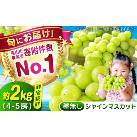 ふるさと納税 ぶどう マスカット 広島県 福山市 沼隈ぶどう シャインマスカット 約2kg(4〜5房) 9月上旬〜9月下旬頃発送 福山市/福山市農業協同組合 先行予約 …
