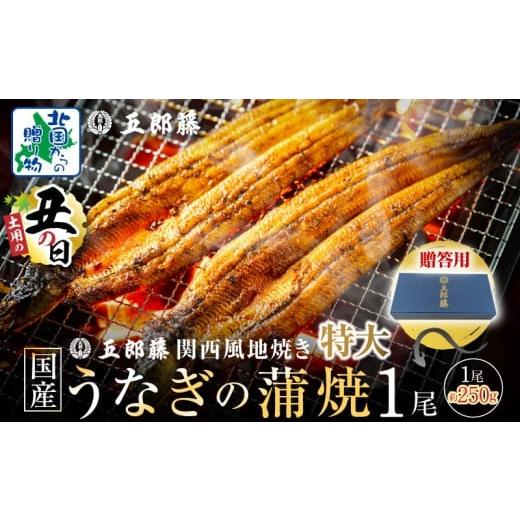 ふるさと納税 うなぎ 大阪府 泉佐野市 7/26土用の丑の日 五郎藤 関西風地焼き 国産有頭旨鰻 250g×1尾 計約250g 贈答用 特大 うなぎ ウナギ 蒲焼き 炭火