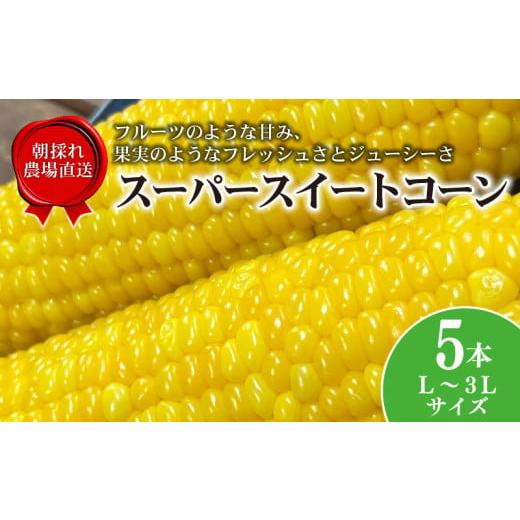 ふるさと納税 野菜類 千葉県 旭市 数量限定 ＼最短7営業日以内発送/ とうもろこし スーパースイートコーン 5本 2026年6月中旬発送開始予定 期間限定 スイー…