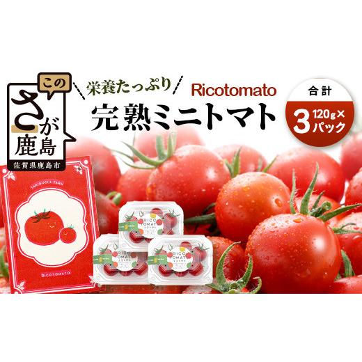 ふるさと納税 トマト ミニトマト 佐賀県 鹿島市 先行受付 2027年1月