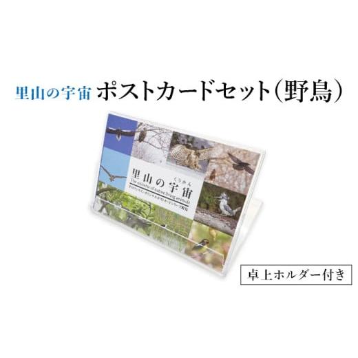 ふるさと納税 雑貨・日用品 はがき 北海道 遠別町 泊和幸 ポストカードセット 里山の宇宙(野鳥) 野鳥