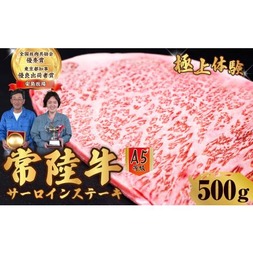 ふるさと納税 牛肉 サーロイン 茨城県 常陸太田市 サーロインステーキ 常陸牛 A5ランク 500g | 常陸牛 国産牛 A5ランク サーロインステーキ 和牛 BBQ バーベキ…