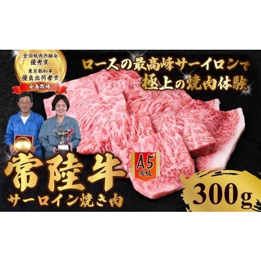 ふるさと納税 牛肉 サーロイン 茨城県 常陸太田市 300g 常陸牛 A5ランク サーロイン焼肉 | 常陸牛 国産牛 A5ランク サーロイン 和牛 BBQ バーベキュー 牛肉 …