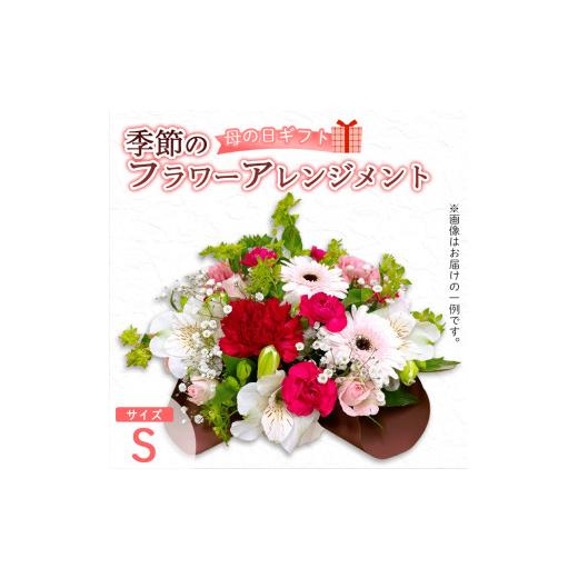 ふるさと納税 雑貨・日用品 花 京都府 綾部市 母の日 フラワーアレンジメント(S) | 花 お花 生花 フラワー フラワーアレンジメント 花束 母の日限定 母の日…