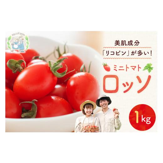 ふるさと納税 トマト ミニトマト 北海道 余市町 先行予約:2026年7月下旬頃より発送 NicoFarm Nicoロッソ(ミニトマト)1Kg 1Kg