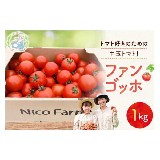 ふるさと納税 野菜類 トマト 北海道 余市町 先行予約:2026年7月下旬頃より発送 NicoFarm ファンゴッホ(中玉トマト)1Kg 1Kg