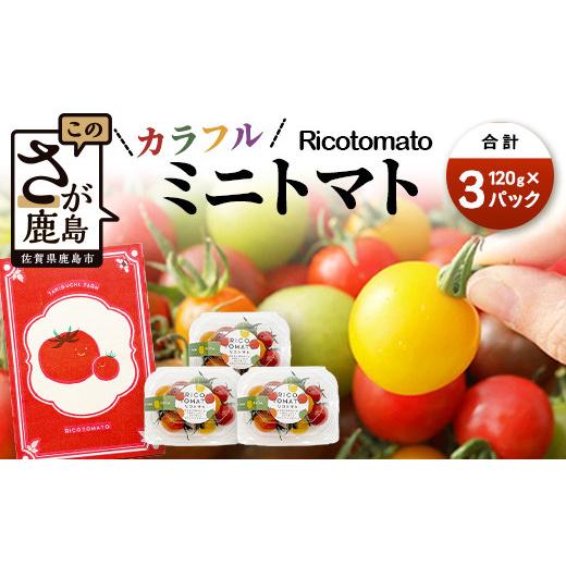ふるさと納税 トマト ミニトマト 佐賀県 鹿島市 カラフルミニトマト 6種 少量パック 360g (120g×3) 定期便 1〜4回 たにぐちファーム | トマト プチトマト 野…_1