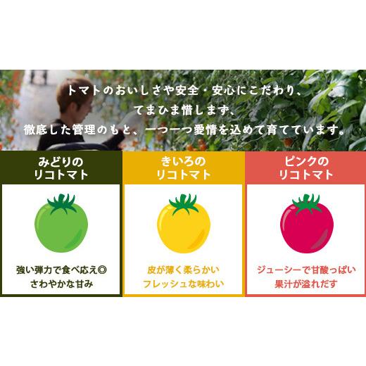 ふるさと納税 トマト ミニトマト 佐賀県 鹿島市 カラフルミニトマト 6種 少量パック 360g (120g×3) 定期便 1〜4回 たにぐちファーム | トマト プチトマト 野…_3