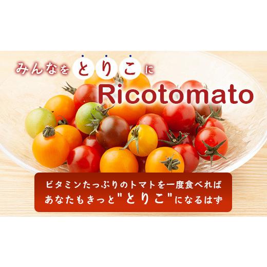 ふるさと納税 トマト ミニトマト 佐賀県 鹿島市 カラフルミニトマト 6種 少量パック 360g (120g×3) 定期便 1〜4回 たにぐちファーム | トマト プチトマト 野…_4