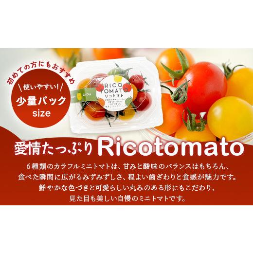 ふるさと納税 トマト ミニトマト 佐賀県 鹿島市 カラフルミニトマト 6種 少量パック 360g (120g×3) 定期便 1〜4回 たにぐちファーム | トマト プチトマト 野…_5