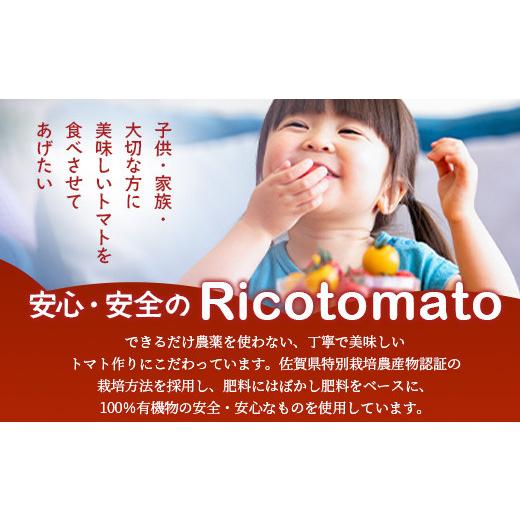 ふるさと納税 トマト ミニトマト 佐賀県 鹿島市 カラフルミニトマト 6種 少量パック 360g (120g×3) 定期便 1〜4回 たにぐちファーム | トマト プチトマト 野…_6