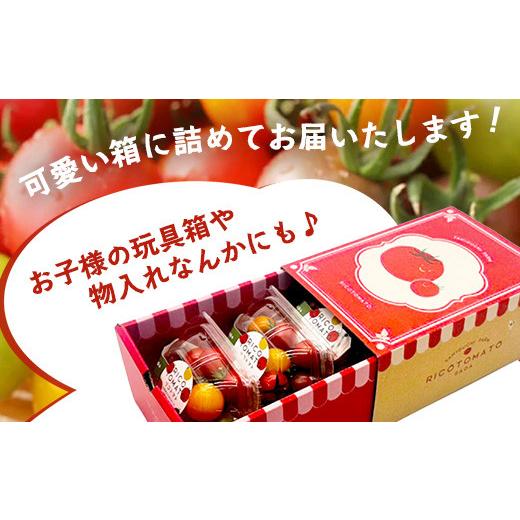 ふるさと納税 トマト ミニトマト 佐賀県 鹿島市 カラフルミニトマト 6種 少量パック 360g (120g×3) 定期便 1〜4回 たにぐちファーム | トマト プチトマト 野…_7