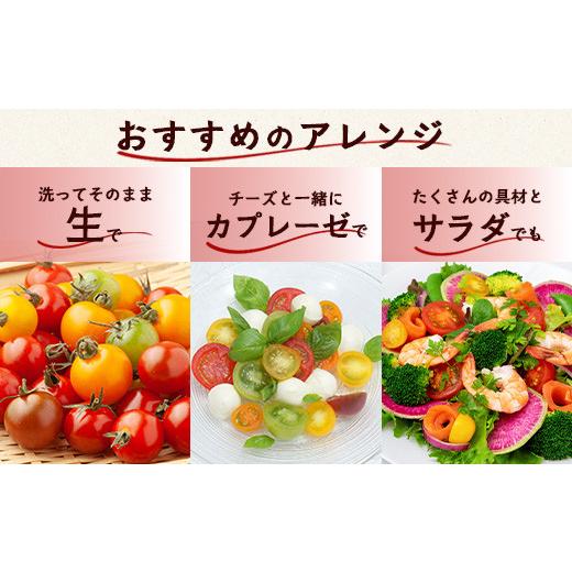 ふるさと納税 トマト ミニトマト 佐賀県 鹿島市 カラフルミニトマト 6種 少量パック 360g (120g×3) 定期便 1〜4回 たにぐちファーム | トマト プチトマト 野…_8