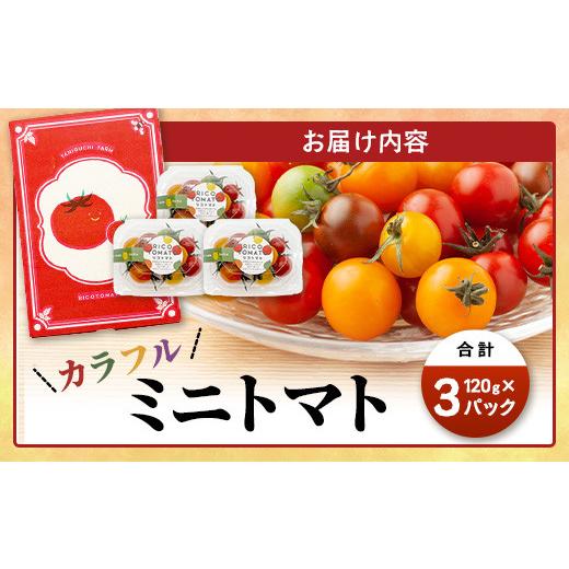 ふるさと納税 トマト ミニトマト 佐賀県 鹿島市 カラフルミニトマト 6種 少量パック 360g (120g×3) 定期便 1〜4回 たにぐちファーム | トマト プチトマト 野…_9