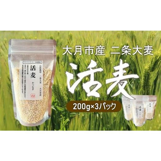ふるさと納税 雑穀 山梨県 大月市 自然栽培 二条大麦 「活麦」 大月産 200g×3パック