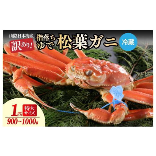 ふるさと納税 カニ 松葉ガニ 京都府 京丹後市 訳あり 指落ち松葉がに 山陰沖ゆで松葉がに 900g〜1kg 特大サイズ(1月〜3月発送)/北畿水産 HK00254 2026…