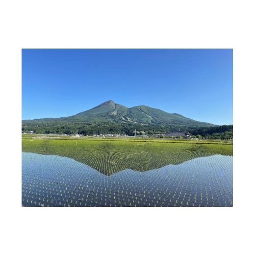 ふるさと納税 米 福島県 猪苗代町 先行予約受付 令和8年度新米 6ヵ月定期便 ギネス認定「世界最高米?」ゆうだい21 白米 6回×2kg 計12kg | 米 こめ 白米 精米 …の画像