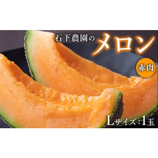 ふるさと納税 メロン メロン赤肉 栃木県 芳賀町 先行予約 石下農園のクインシーメロン 赤肉 Lサイズ 1玉 | 果物 くだもの フルーツ メロン 国産 クインシー…