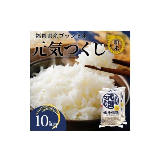 ふるさと納税 米 福岡県 大川市 新米 令和7年産 福岡県産米 元気つくし 合計10kg ( 5kg×2袋 )