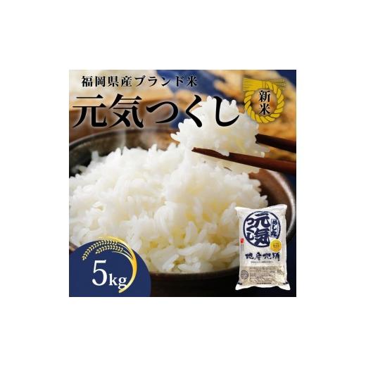ふるさと納税 米 福岡県 大川市 化粧箱入り 新米 令和7年産 福岡県産米 元気つくし 5kg ( 5kg×1袋 )