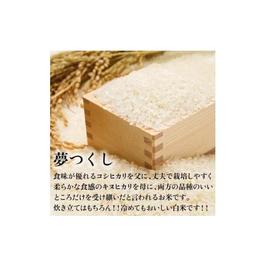 ふるさと納税 米 福岡県 大川市 新米 令和7年産 福岡県産米 夢つくし 合計10kg ( 5kg×2袋 )_2